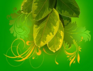 leaf2